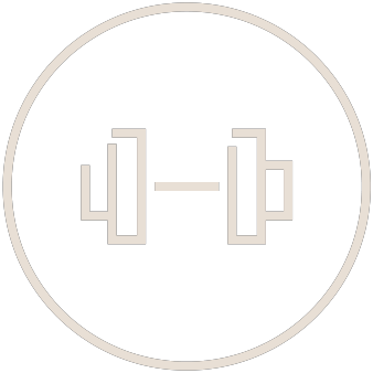 Icona palestra