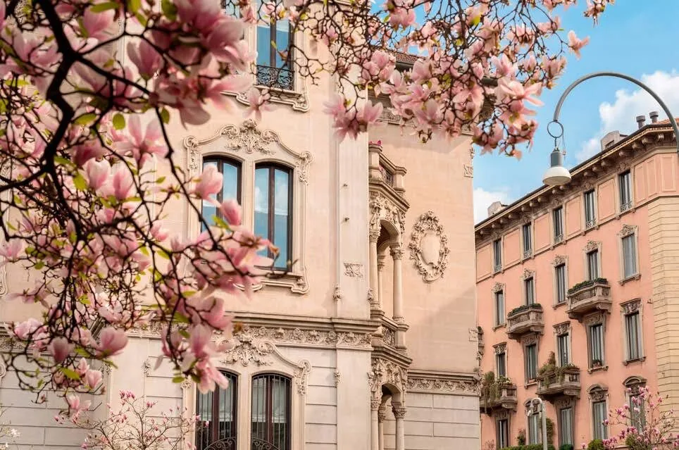 Palazzi storici di Zona Magenta tra le magnolie in fiore